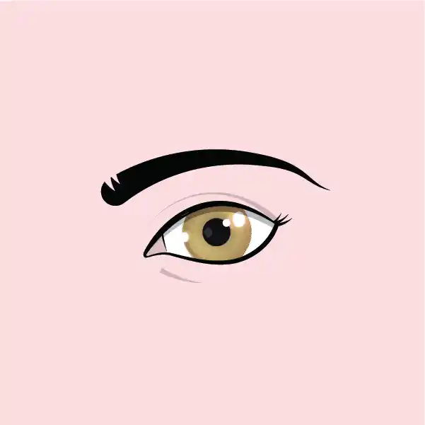 Lash Paris Gallery 02